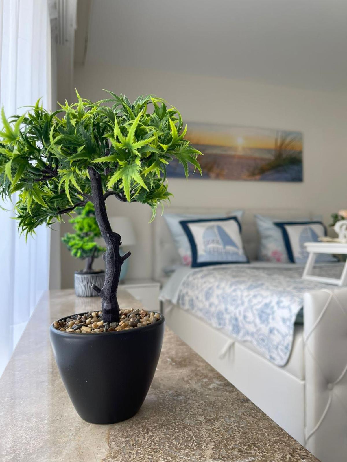 Ferienwohnung Strandoase Inklusive Terrasse Und Parkplatz - Sonnenseite Scharbeutz Luaran gambar